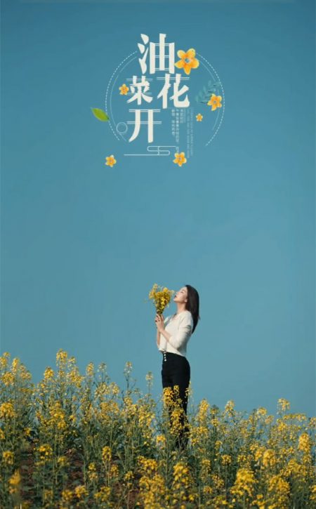 闻闻油菜花香